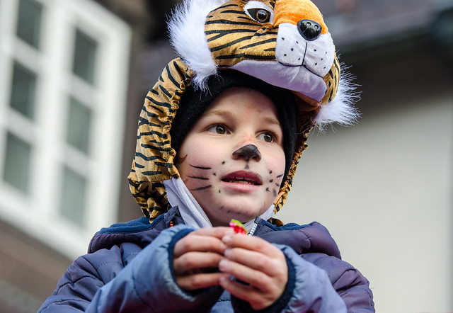 Karneval Tiger