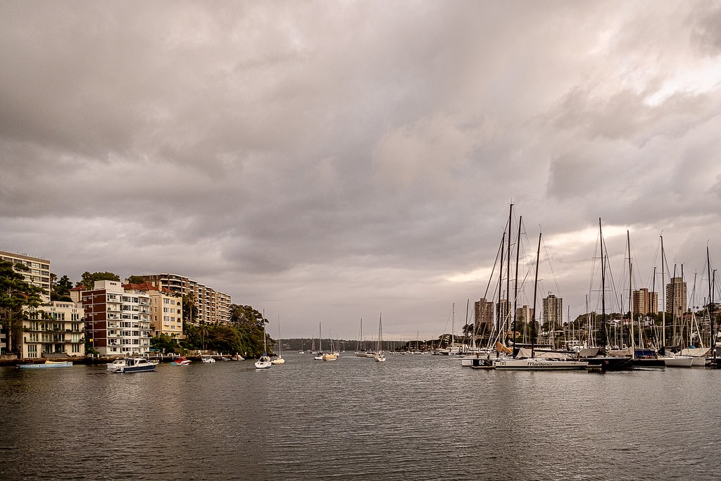 Sydney has caught up with Melbourne in the weather stakes. A drab grey day at Rushcutters Bay. I do appreciate the cool, and you need variation in dawn delights.