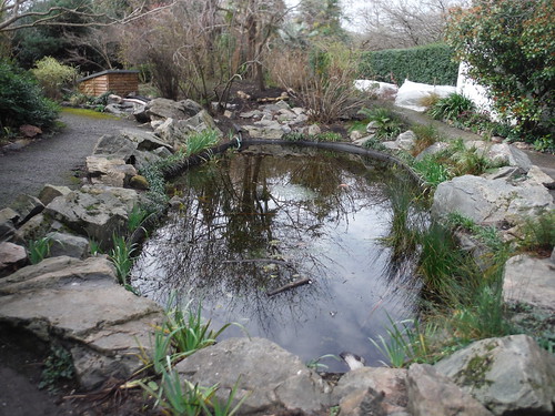 Pond in Chumleigh Gardens, Burgess Park SWC Short Walk 59 - Burgess Park (Elephant &amp; Castle) [Daylight Access Only]