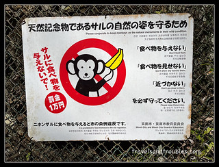 De apen niet voeren