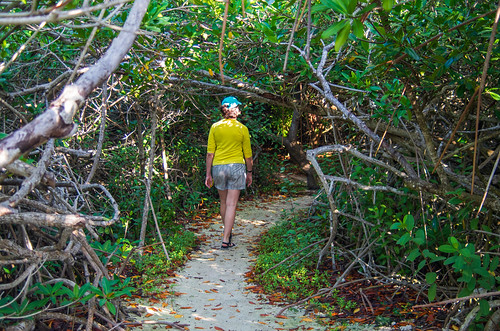 Mangrove Walk