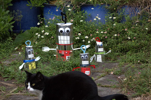 Cat oblivious of Robot Invasion