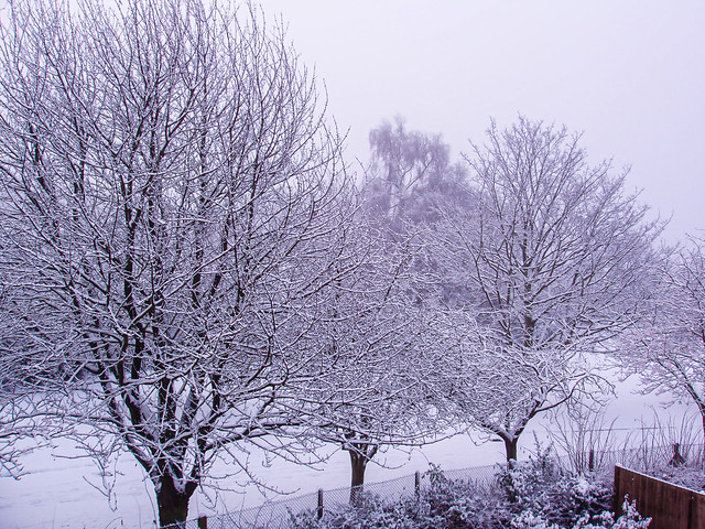 Snowy East Anglian winter morning