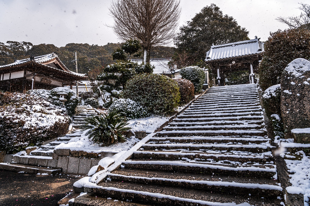 新雪の古刹 #2 ーA timeless temple blanketed in fresh snow #2