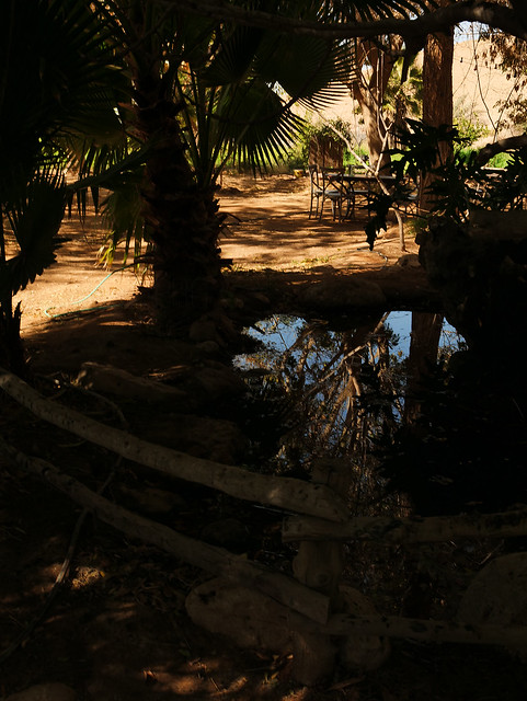 Pundak Pond Chiaroscuro