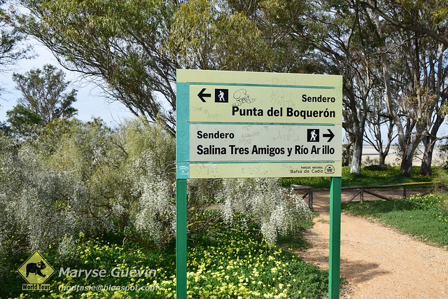 Las Salinas à San Fernando, Espagne