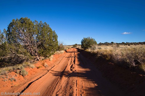 The road on Waterhole Flat, Glen Canyon National Recreation Area en route to the Maze District of Canyonlands National Park, Utah