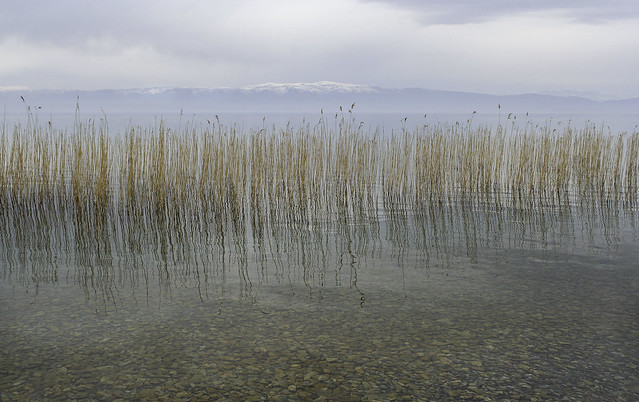 View across Lake Ohrid