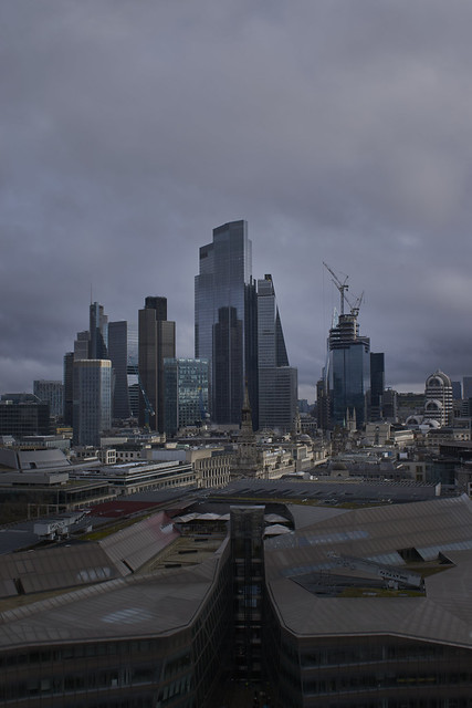DSC_0005