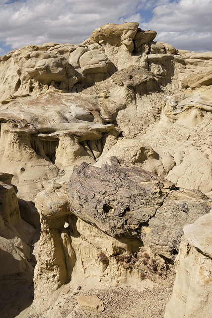 Petrified Wood and Hoodoo formations, Valley of Dreams, New Mexico