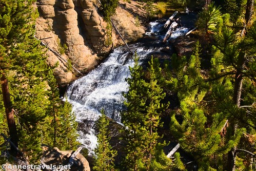 Little Gibbon Falls through the trees, Yellowstone National Park, Wyoming