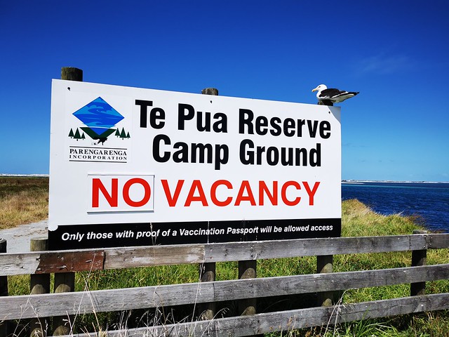 Te Pua Reserve Camp Ground