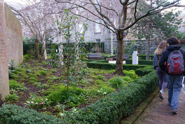 GARDENS AT DUBLIN CASTLE AND THE FEATURED BUBLIC ART [11 FEBRUARY 2024]-228130