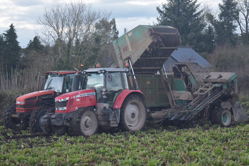 Massey Ferguson 7718 Dyna-6 Tractor with an Armer Salmon Beaver Twin Row Beet Harvester filling a Hourihan Trailer drawn by a Same Rubin 120 Tractor