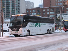 McCOY Bus Service 238
