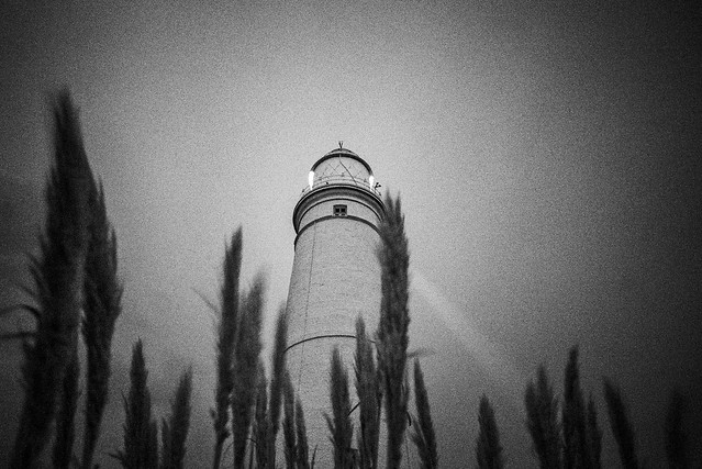 Nash Point Lighthouse - Lighthouse Amongst Long Grass BnW
