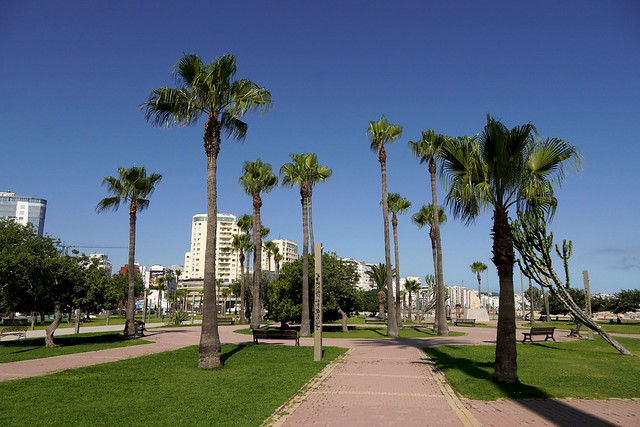 Boulevard Mohammed VI - Tanger (Morocco)
