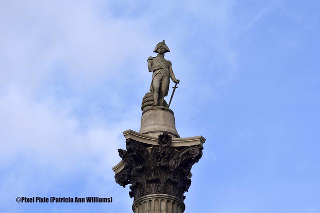 Nelson atop his Column
