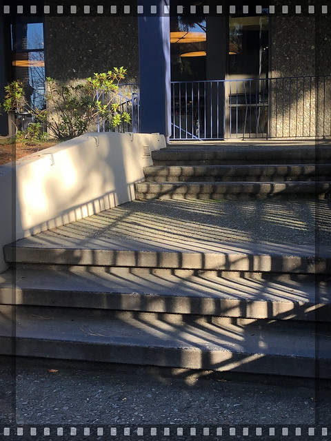 Steps in Shadow
