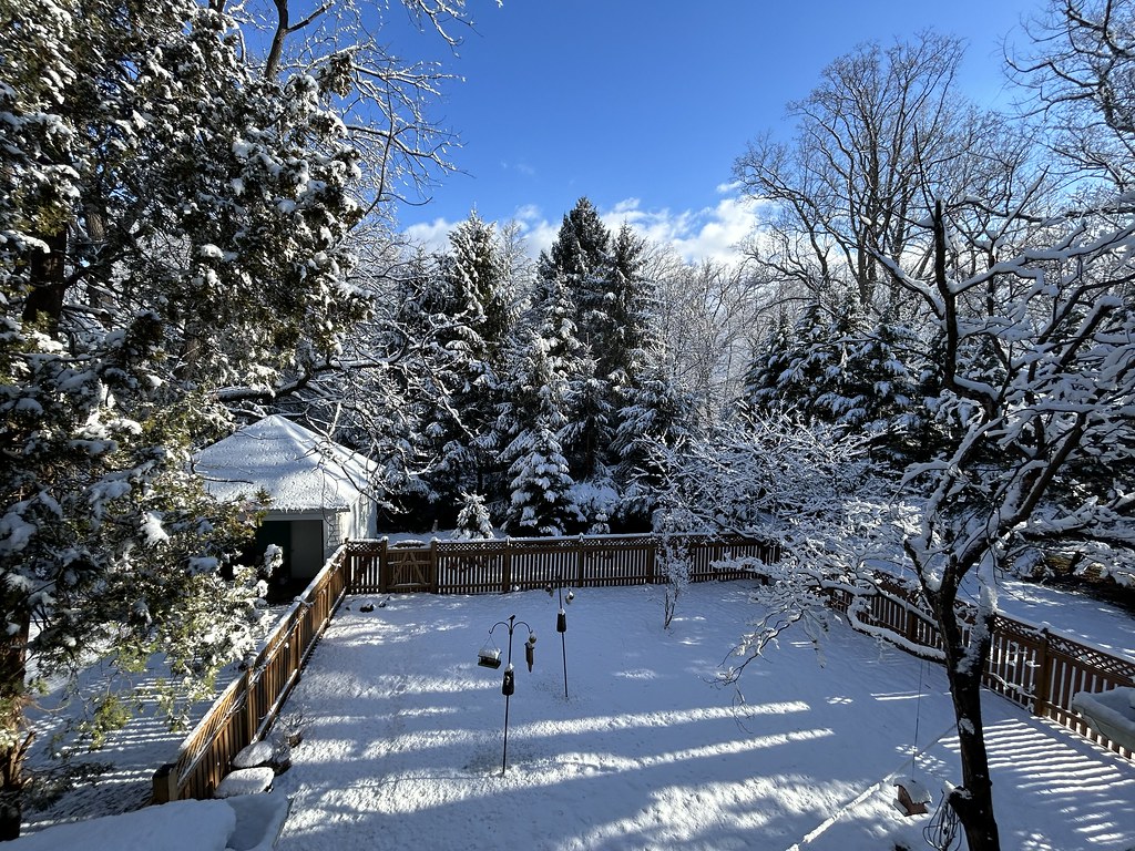 Winter Wonderland in the Backyard