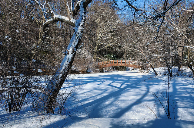 A Different View of the Arched Bridge and Frozen East Pond