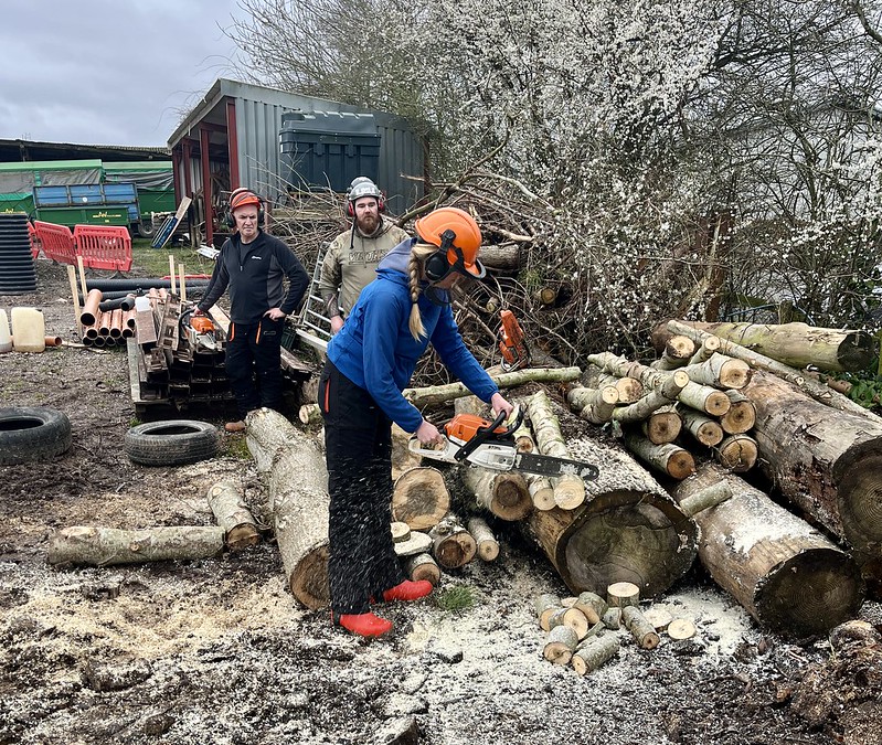 Hobby Chainsaw Course: The First Cut