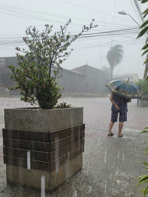 Senhora com guarda-chuva na mão, atravessando a rua na faixa de pedestre, sob forte chuva e alagamento.
