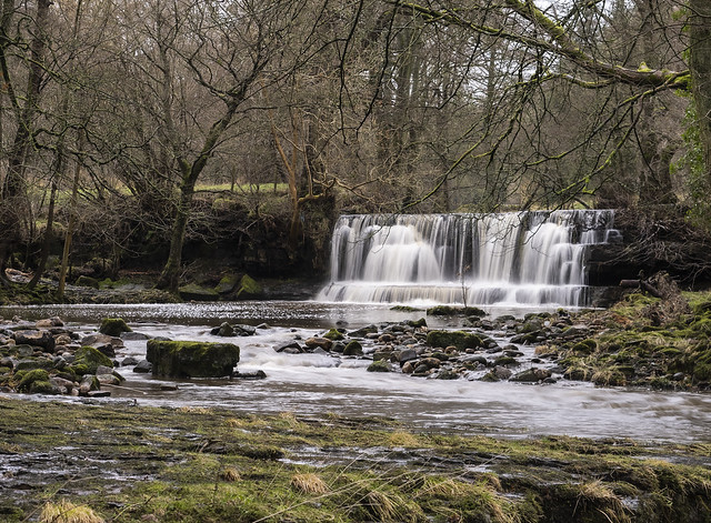 The Falls Along The River Nidd