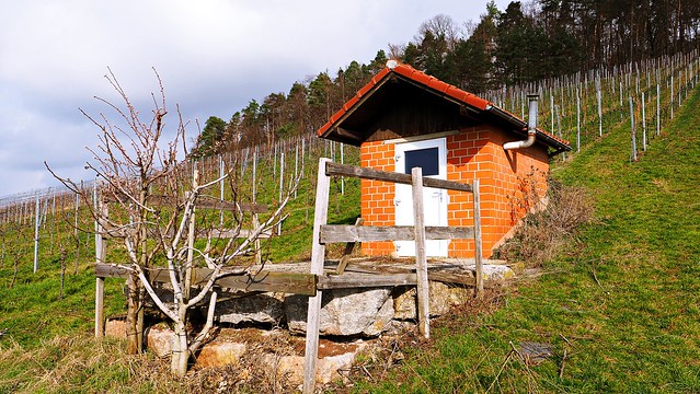 Weinberghütte