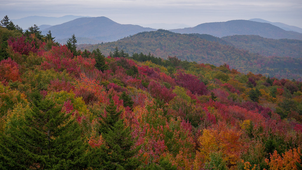 From the Buck Mountain fire tower