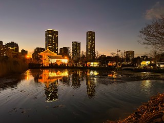 Evening Reflections at Shinobazu Pond, Tokyo
