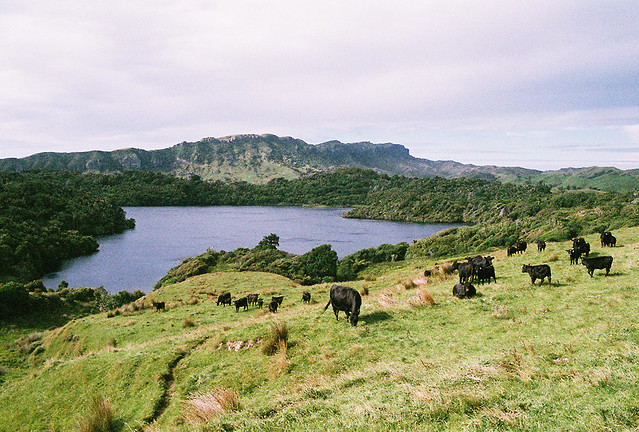 Kaihoka Lakes