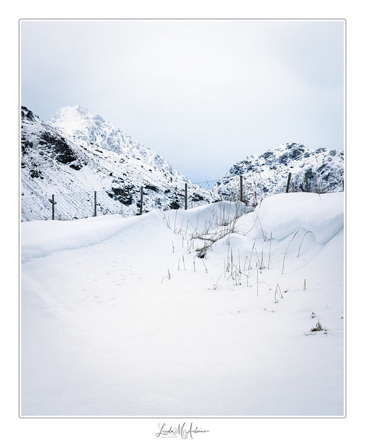 Snowy Lofoten