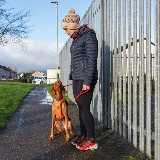 Caerphilly Trail 5k and 10k 2024 by Ridge Runners  (3)