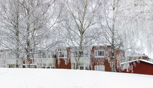 Årsta, Uppsala, December 7, 2023