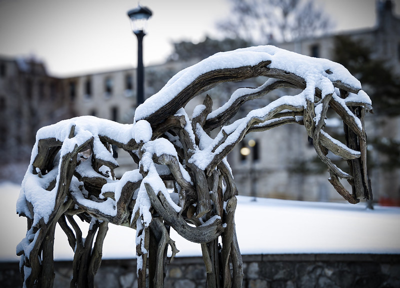 Snow Covered Cedar Statue