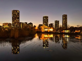 Evening Reflections at Shinobazu Pond, Tokyo