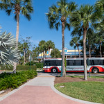 Disney's Caribbean Beach Resort Walt Disney World, Florida