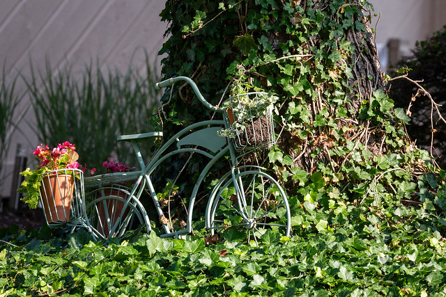 Bike Planter