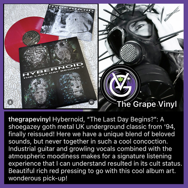 The Grape Vinyl and Hybernoid
