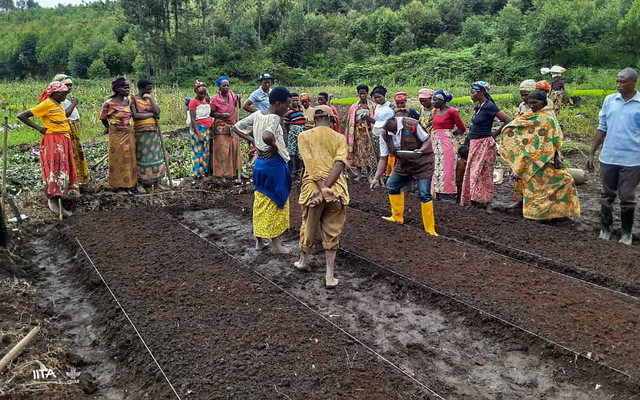 Training Demonstration for Beneficiaries on the Installation of Rice Seed Nurseries in the Buhiga Commune of Karusi Province, Burundi.