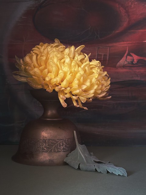 Still life with chrysanthemum
