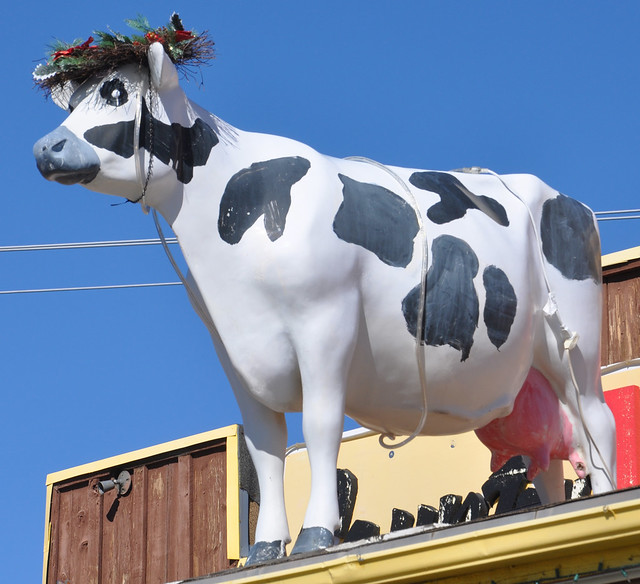 Country Market Cow