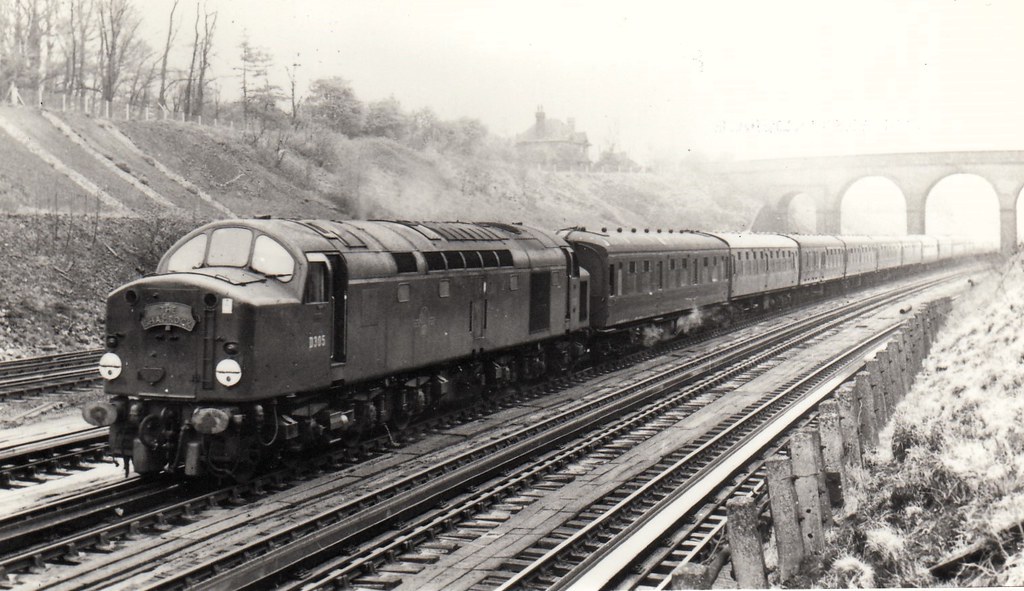 EE Type 4 D305 with the up 'Shamrock' passing over Bushey water troughs.
