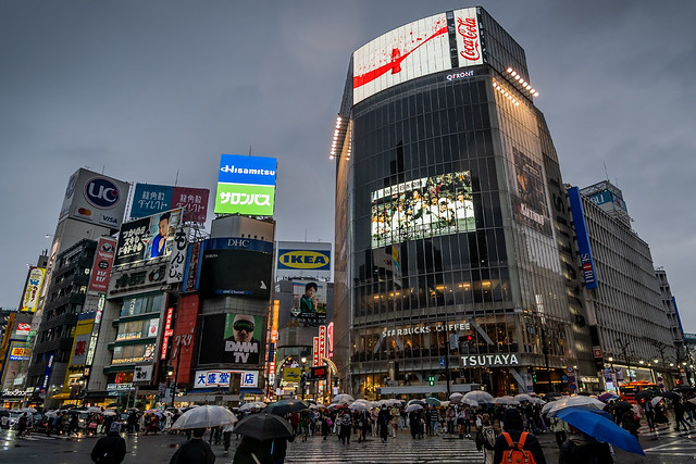 Shibuya Crossing at Night with Umbrellas - WBC Celebration on Screen