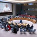 UN Special Rep. Catriona Laing briefs UN Security Council meeting on Somalia - 19 Feb. 2024