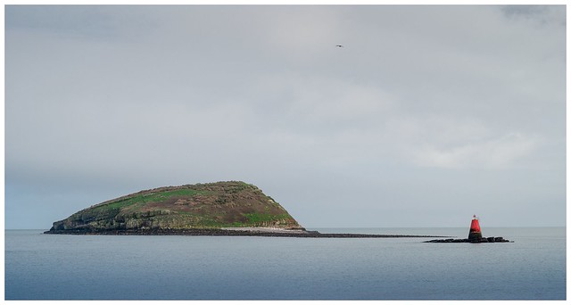 Puffin Island at Penmon Point