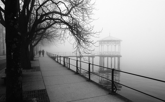 monochrome: Fog Over the Promenade