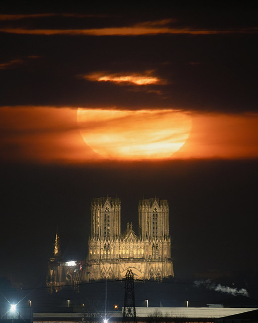 Reims Cathedral and our neighbor