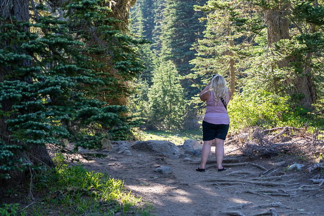 Blonde tourist woman takes a photo along the Tipsoo Lake trail in summer in Mt. Rainier National Park